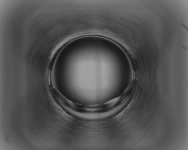 X0000093231510200709261641