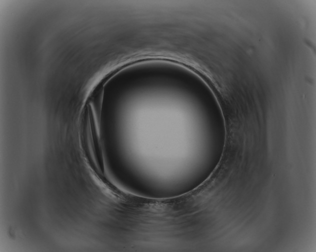 X0000093231511200709261641
