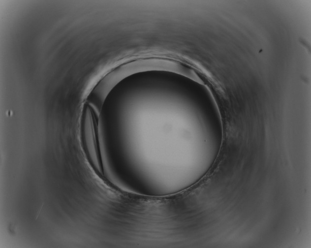 X0000093231512200709261641