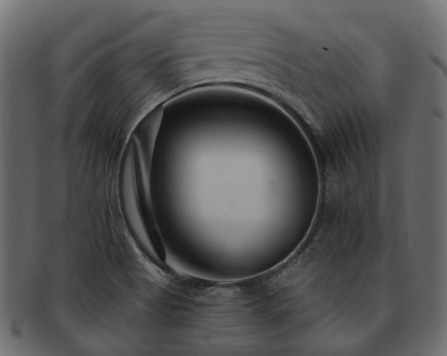 X0000093231513200709261641
