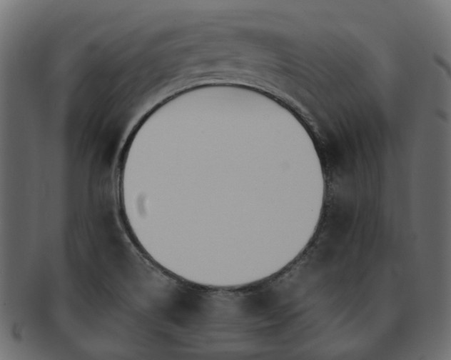 X0000093231514200709261641