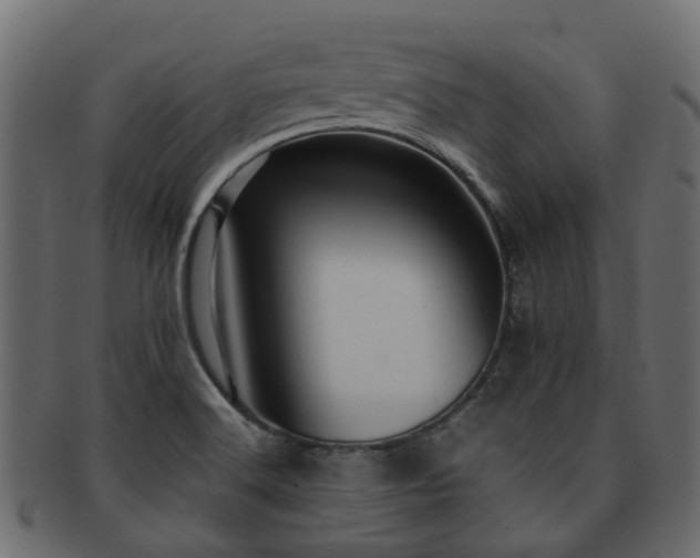 X0000093231516200709261641