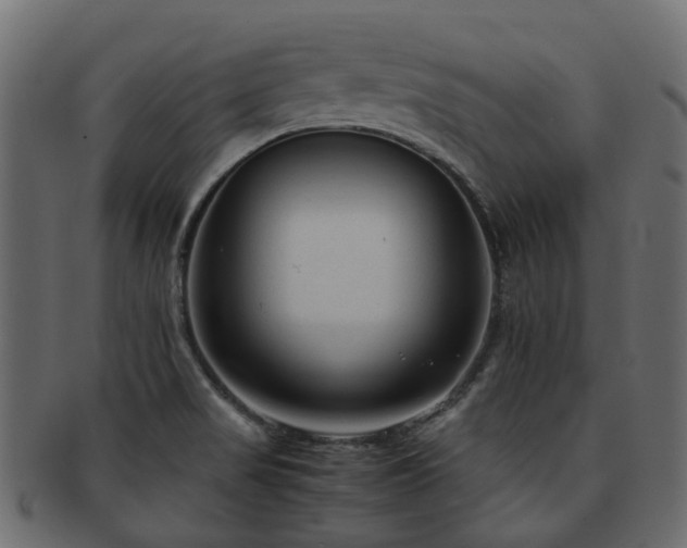 X0000093231517200709261641