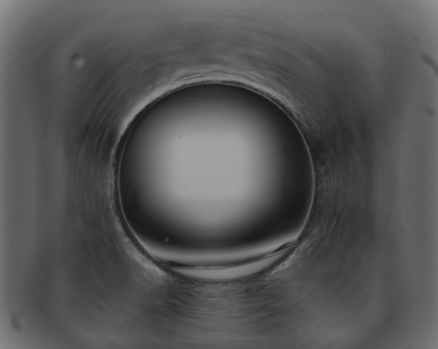 X0000093231518200709261641