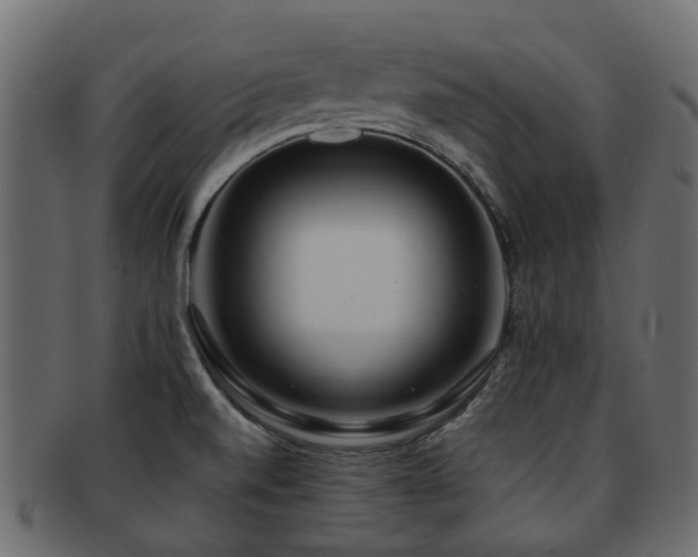 X0000093231520200709261641