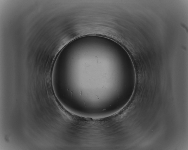 X0000093231521200709261641