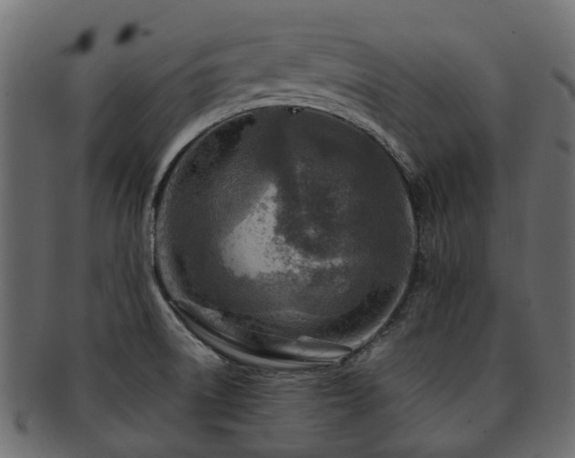 X0000093231522200709261641