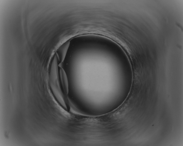 X0000093231525200709261641