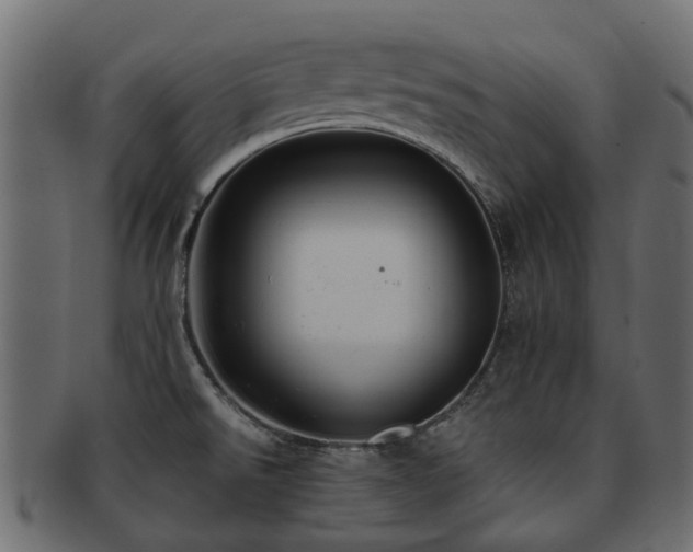 X0000093231526200709261641