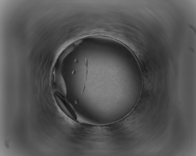 X0000093231527200709261641