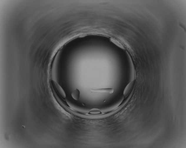 X0000093231528200709261641