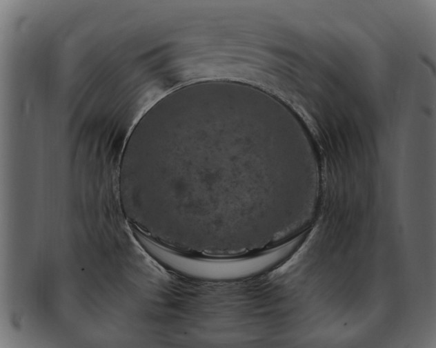 X0000093231529200709261641