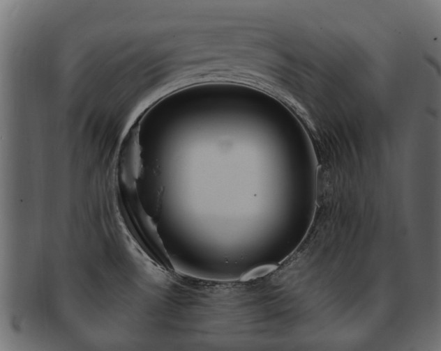 X0000093231530200709261641
