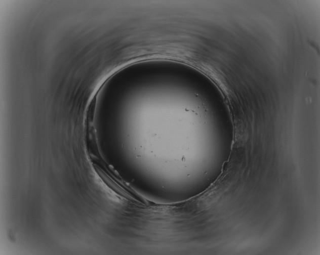 X0000093231532200709261641