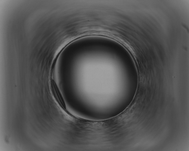 X0000093231533200709261641