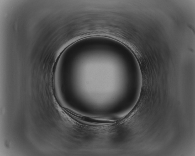 X0000093231534200709261641