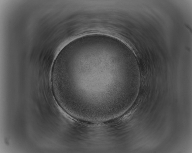 X0000093231535200709261641
