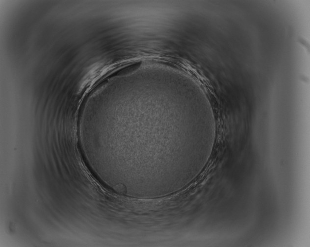 X0000093230002200710031507