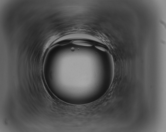 X0000093230003200710031507