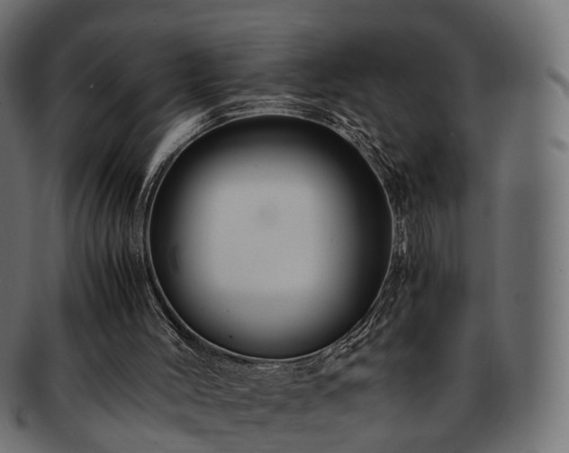 X0000093230004200710031507