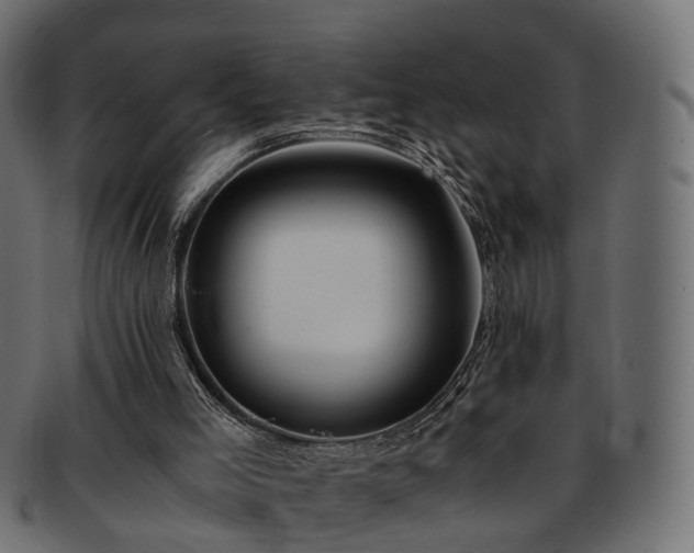 X0000093230005200710031507