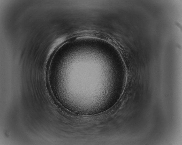 X0000093230006200710031507