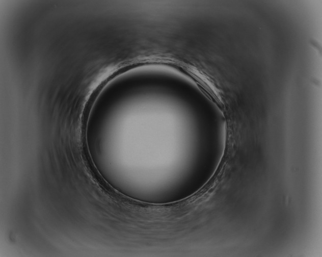 X0000093230008200710031507