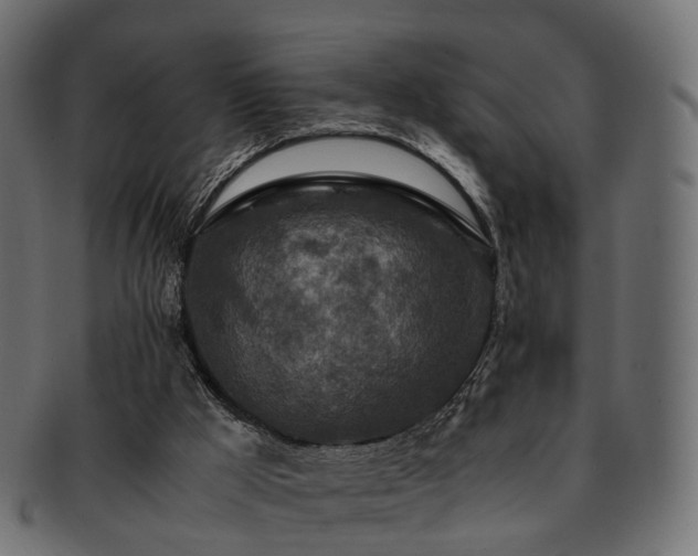 X0000093230009200710031507