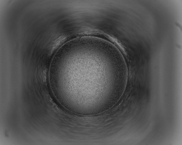 X0000093230010200710031507