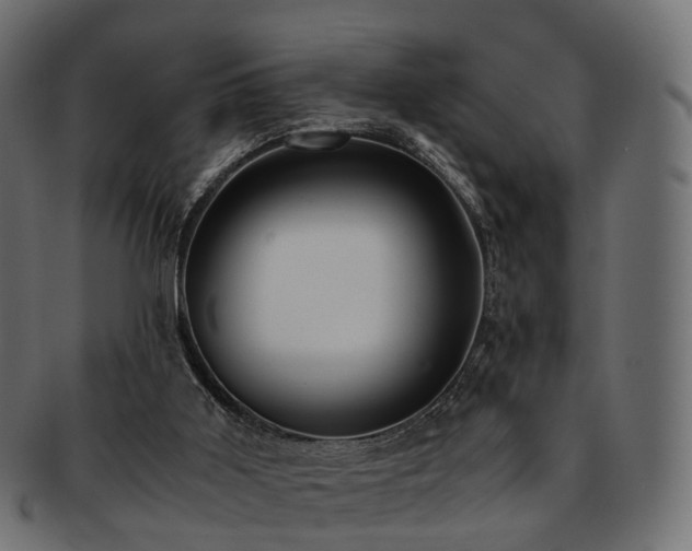 X0000093230011200710031507