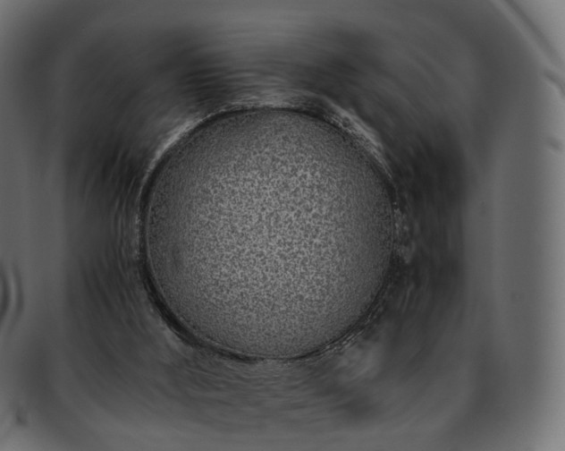 X0000093230012200710031507