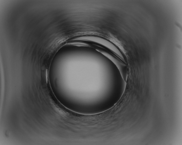 X0000093230013200710031507