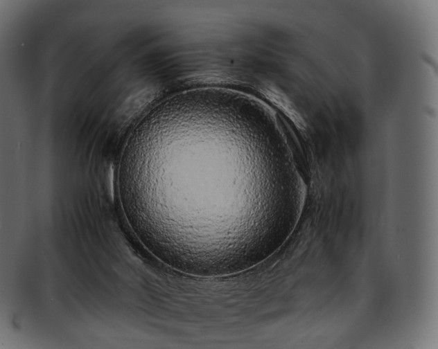 X0000093230014200710031507