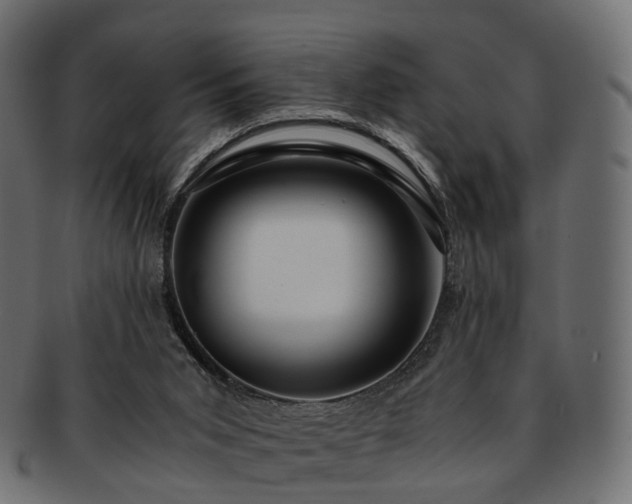 X0000093230015200710031507