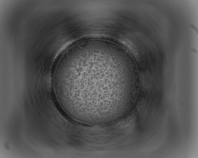 X0000093230016200710031507