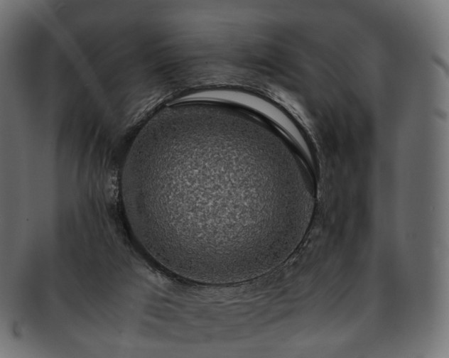 X0000093230017200710031507