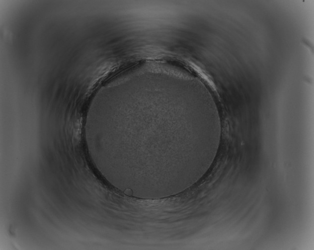 X0000093230018200710031507