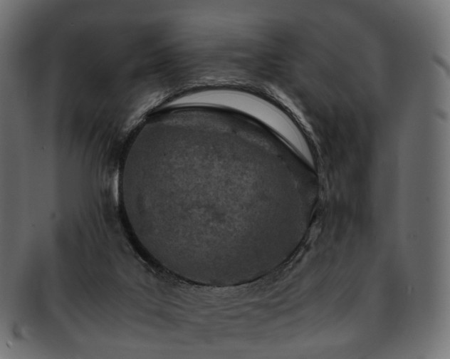 X0000093230019200710031507