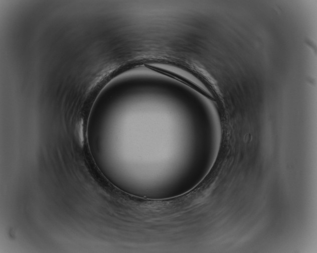 X0000093230020200710031507