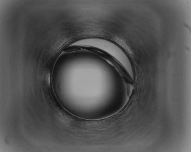 X0000093230021200710031507