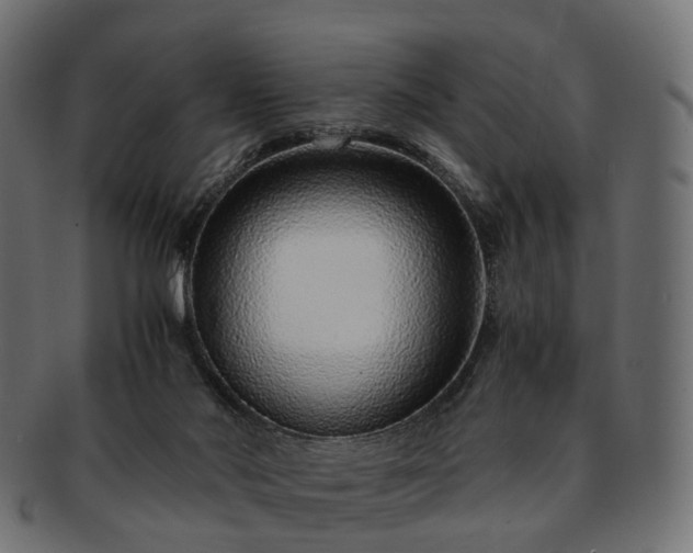 X0000093230022200710031507