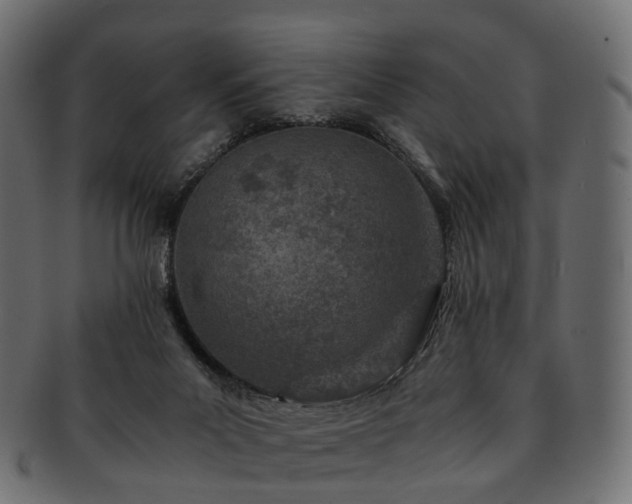 X0000093230023200710031507