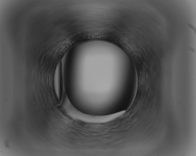 X0000093230025200710031507