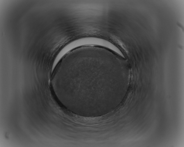 X0000093230027200710031507