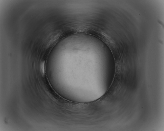 X0000093230028200710031507