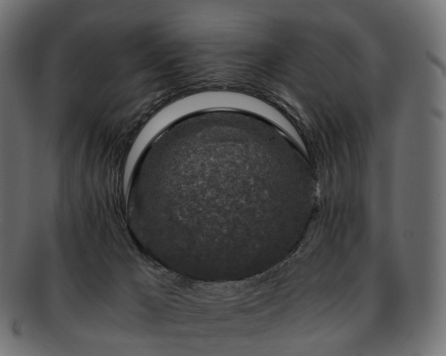 X0000093230029200710031507