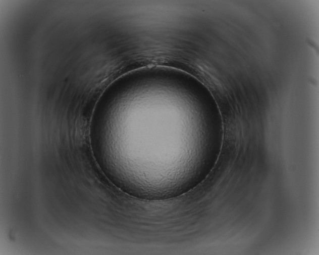 X0000093230030200710031507