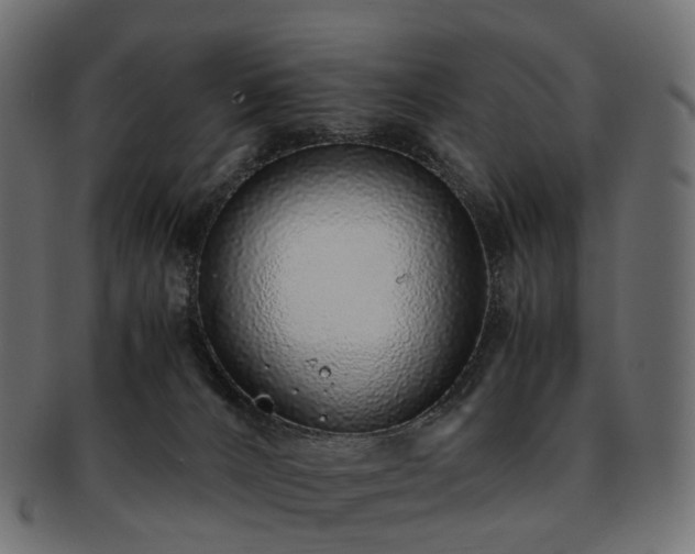 X0000093230032200710031507