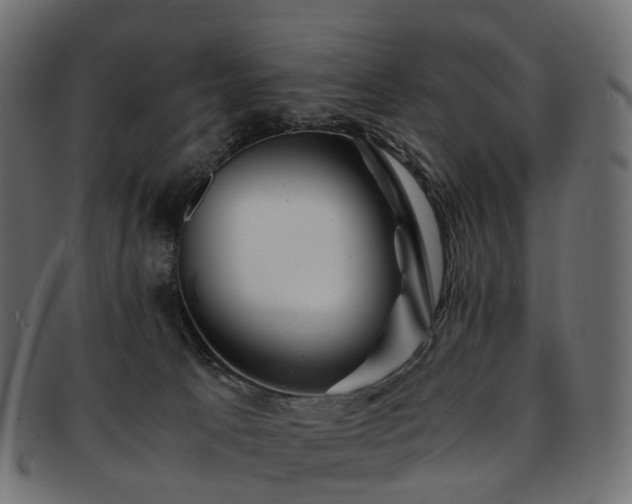 X0000093230033200710031507