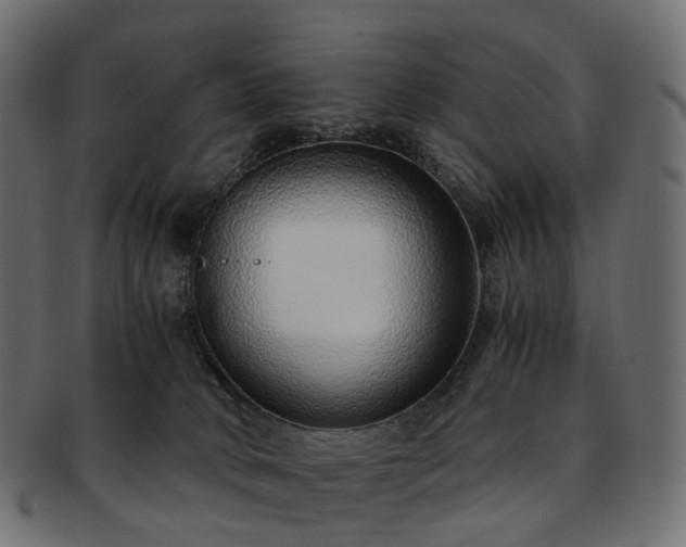 X0000093230034200710031507